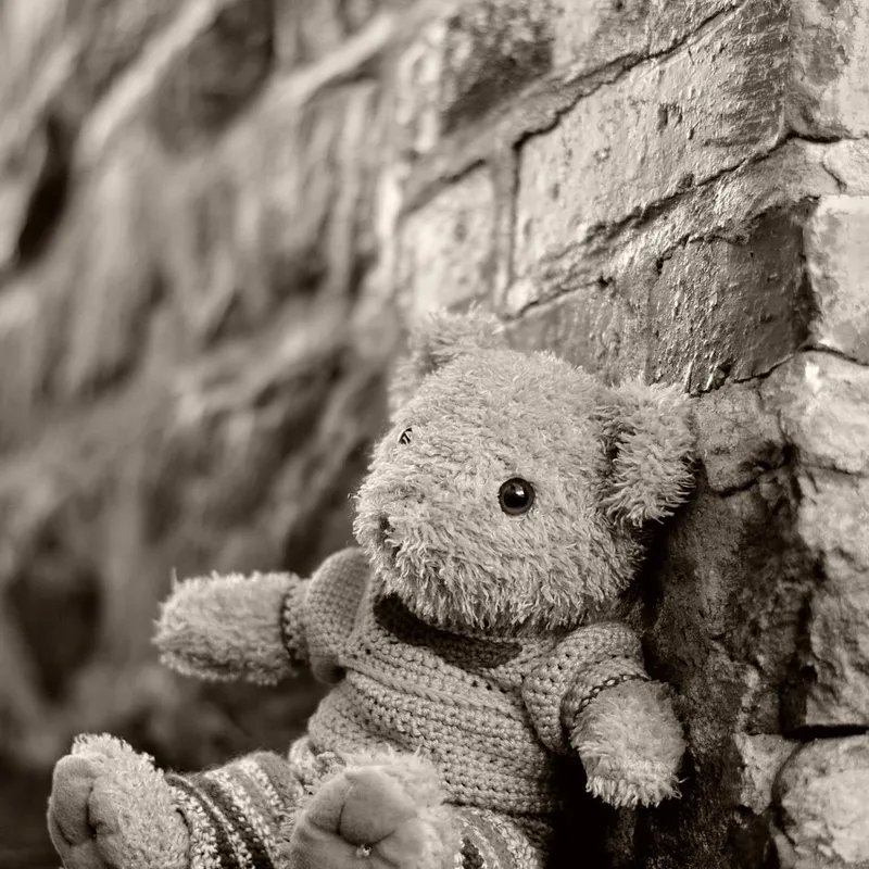 Teddy Bear Lunch Bag