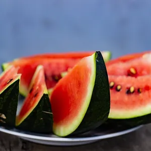 Watermelon Lunch Bag