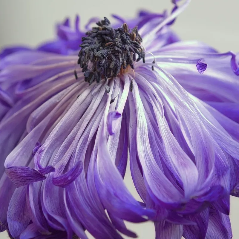 Purple Lunch Bag - Image 6