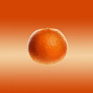 Lunch Bag Orange