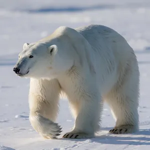 Polar Bear Lunch Bag